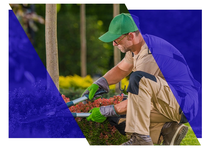 Landscaping professional trimming shrubs at a job site