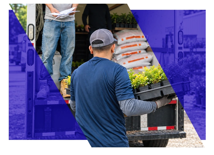 Landscaping crew member carrying plants beside a work truck