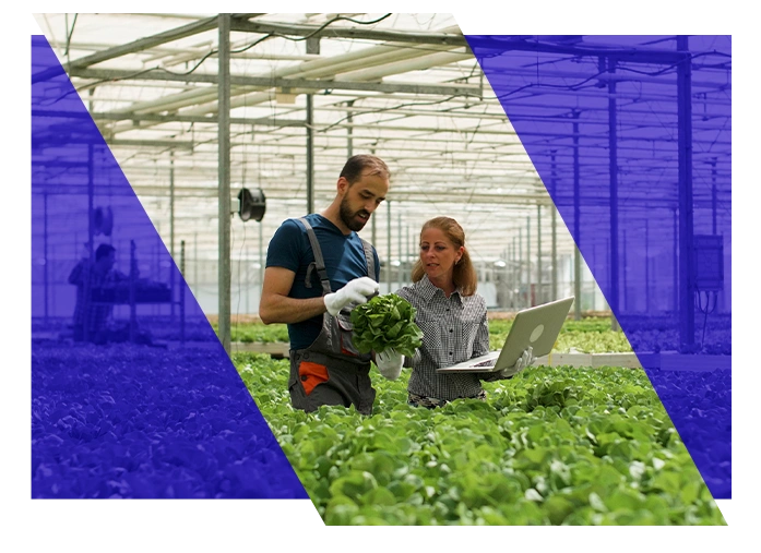 Landscaping professional reviewing plants with a coworker using a laptop